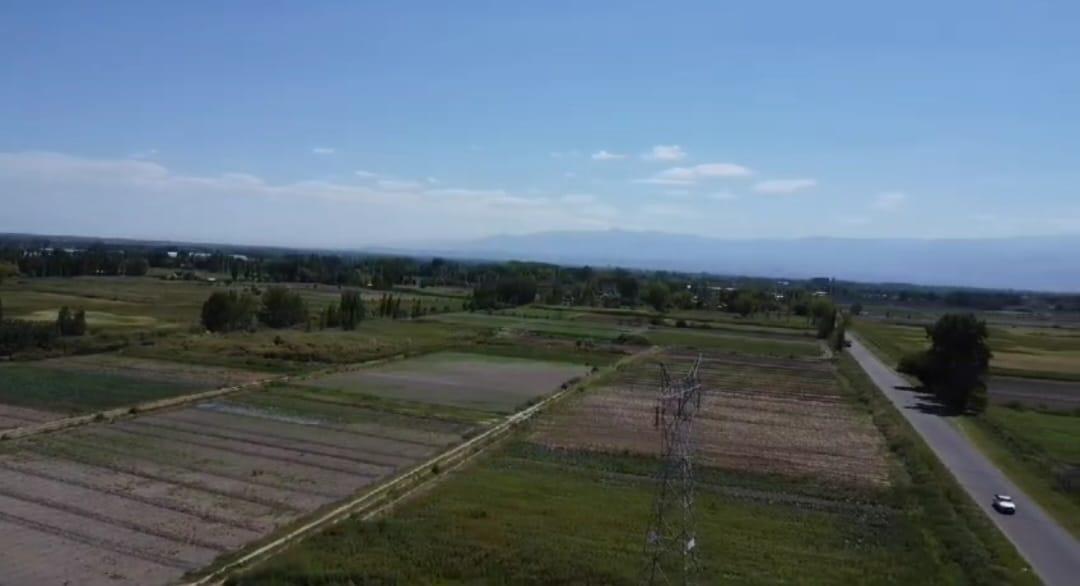 Finca Venta Los Corralitos Guaymallen 4