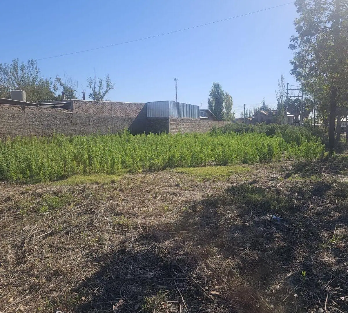 Terreno de 400 m2 en venta en Los Corralitos 5