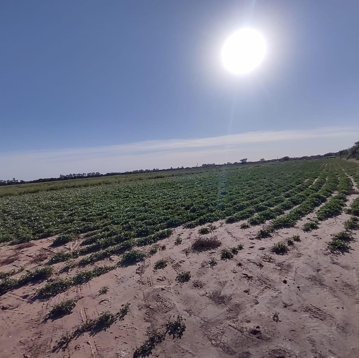 Propiedad en Argentina
