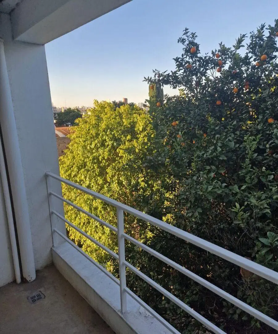 Alquiler Depto 1 Dorm Alto Alberdi 4