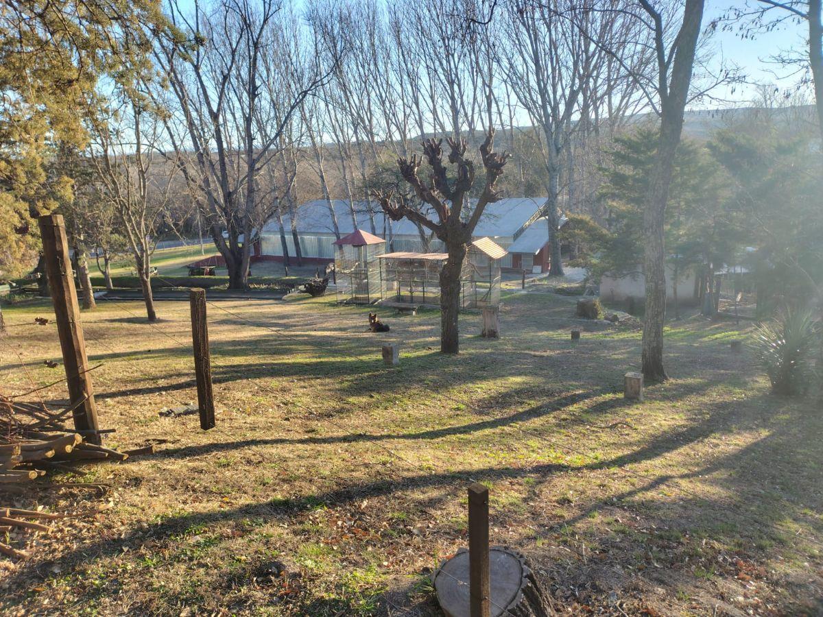 Foto de Venta Lote - Villa Parque San Jorge -Est. Molinari, imagen 1