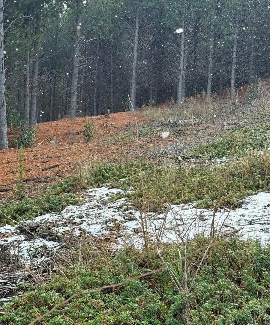 Oportunidad de Inversión en Chapelco Golf 8