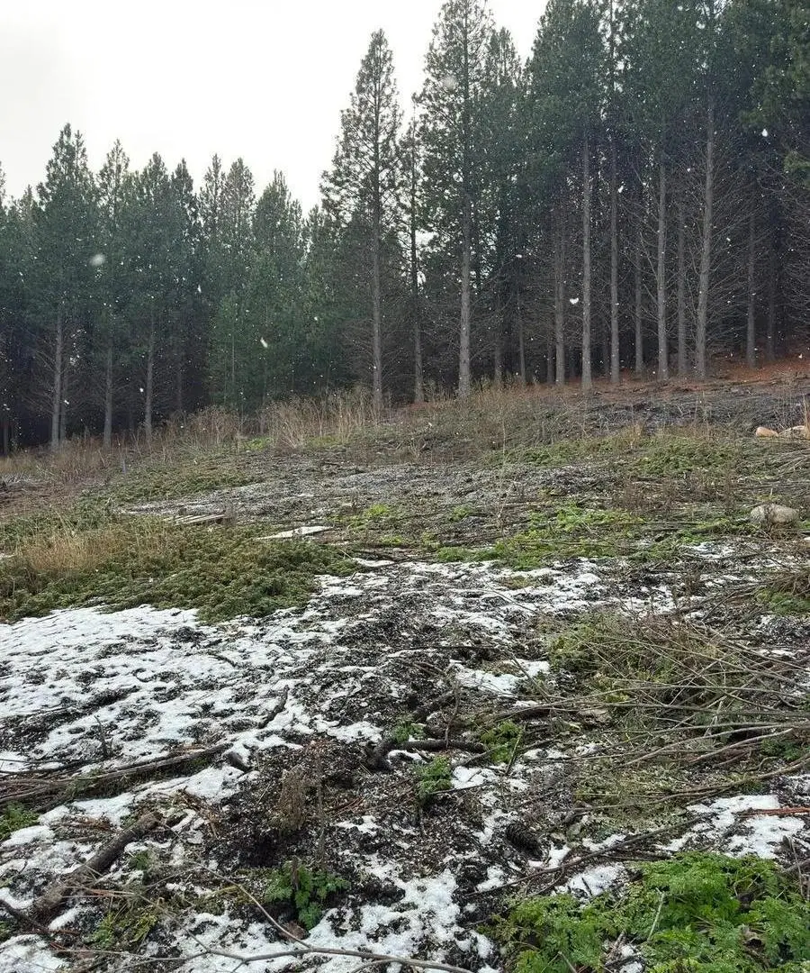 Oportunidad de Inversión en Chapelco Golf 1