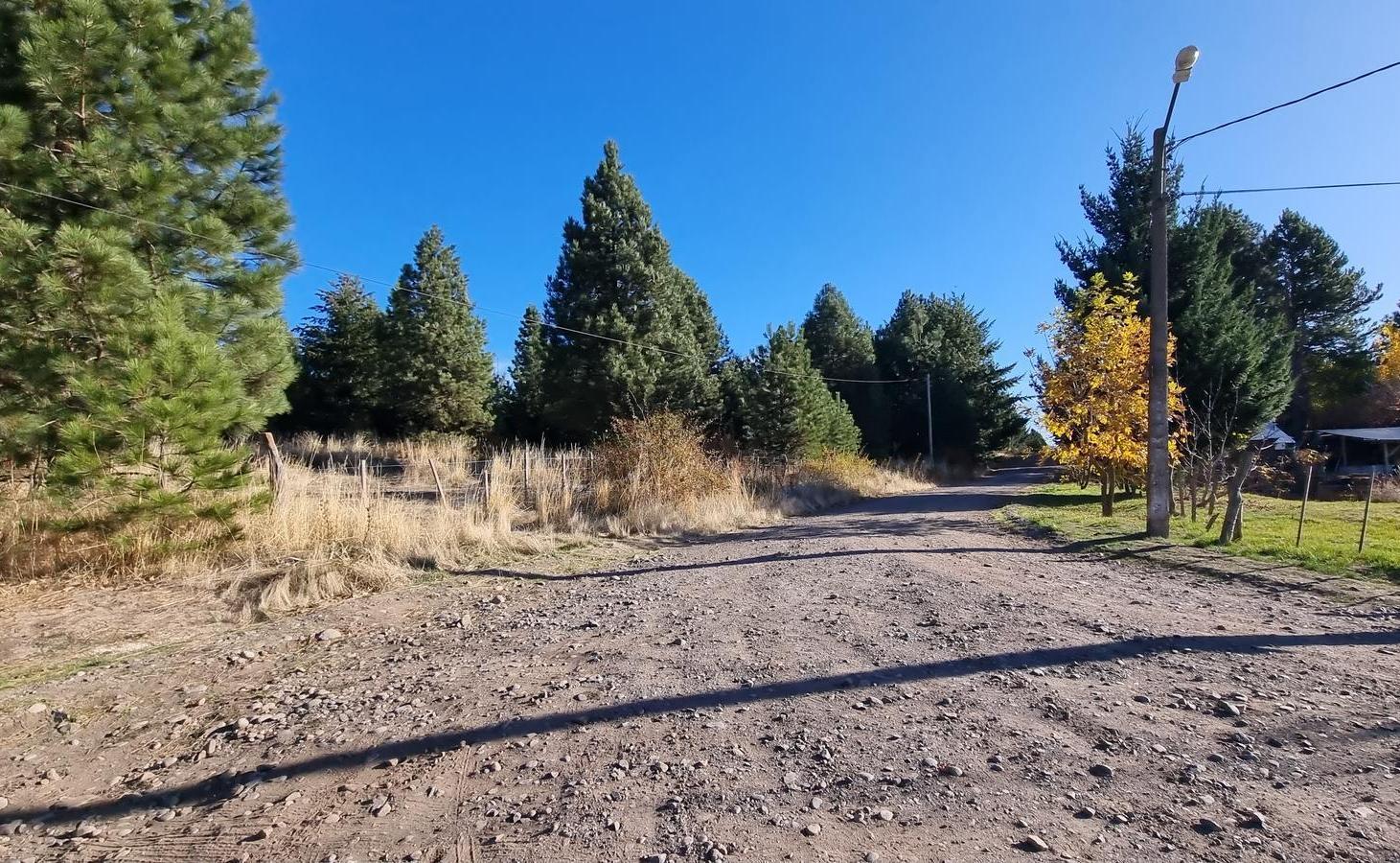 Foto de VENTA/PERMUTA 2 HECTAREAS EN B° RUCA HUE., imagen 5