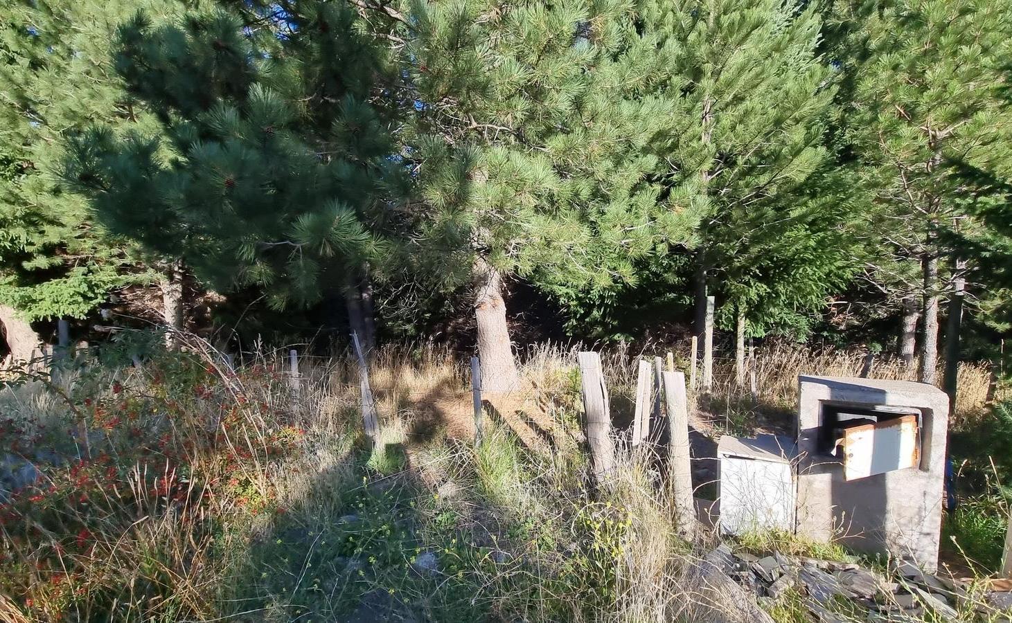 Foto de VENTA/PERMUTA 2 HECTAREAS EN B° RUCA HUE., imagen 1