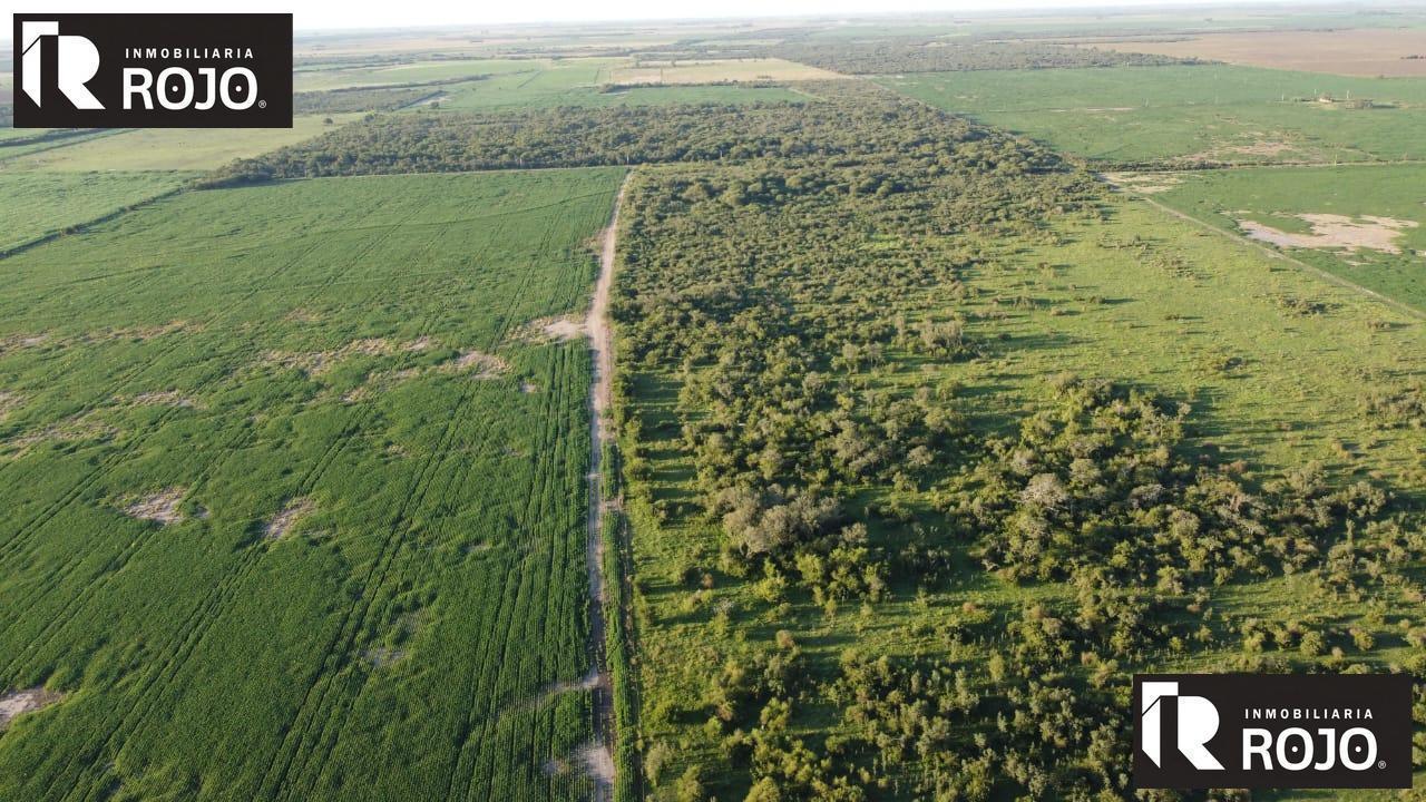 Foto de Campo en La Francia, imagen 3