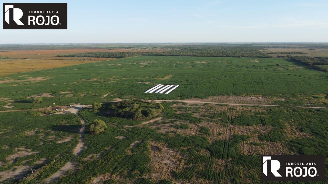 Foto de Campo en La Francia, imagen 1