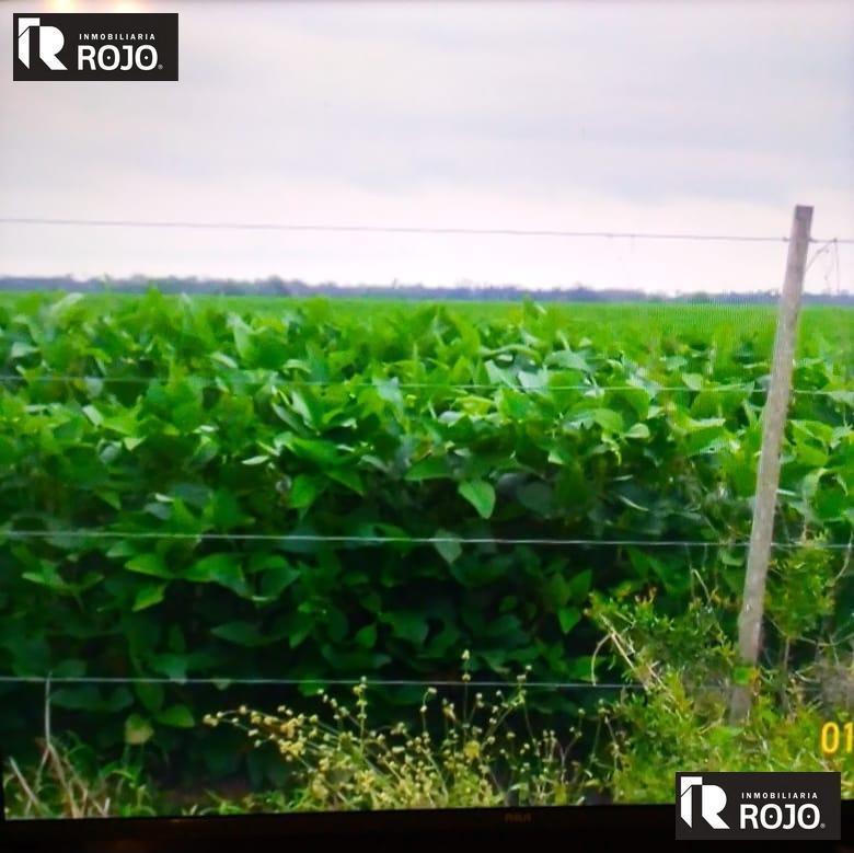 Foto de Campo en La Francia, imagen 4