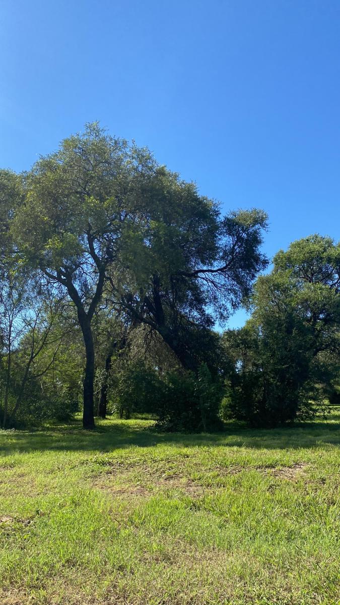 Lotes en Venta en La Adela - Unquillo 2
