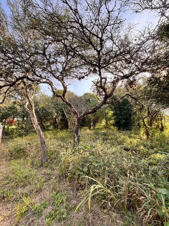 Gran Oportunidad Terreno a La Venta en Barrio La Ensenada - Villa Ciudad Parque 4