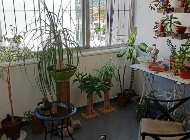 Departamento en  Av. Bélgica al 100 4