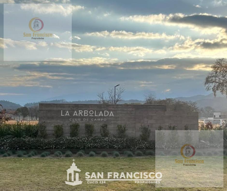Foto de Departamentos en Venta, imagen 4