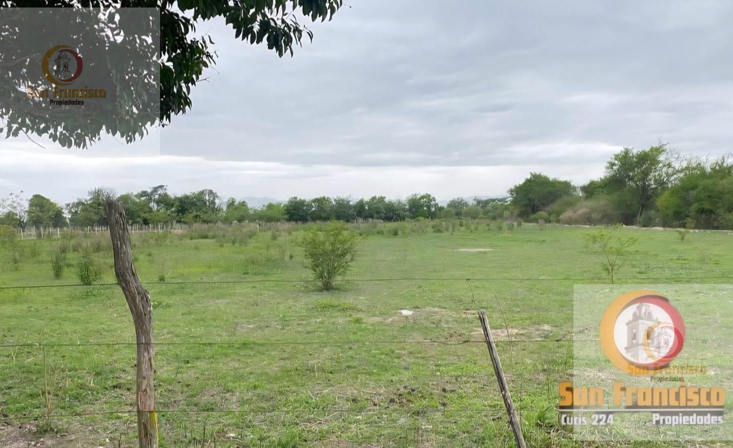 Foto de Finca en Venta, imagen 3