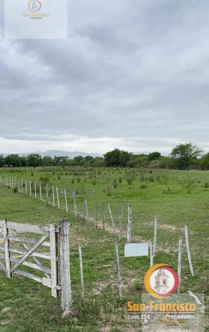 Foto de Finca en Venta, imagen 5