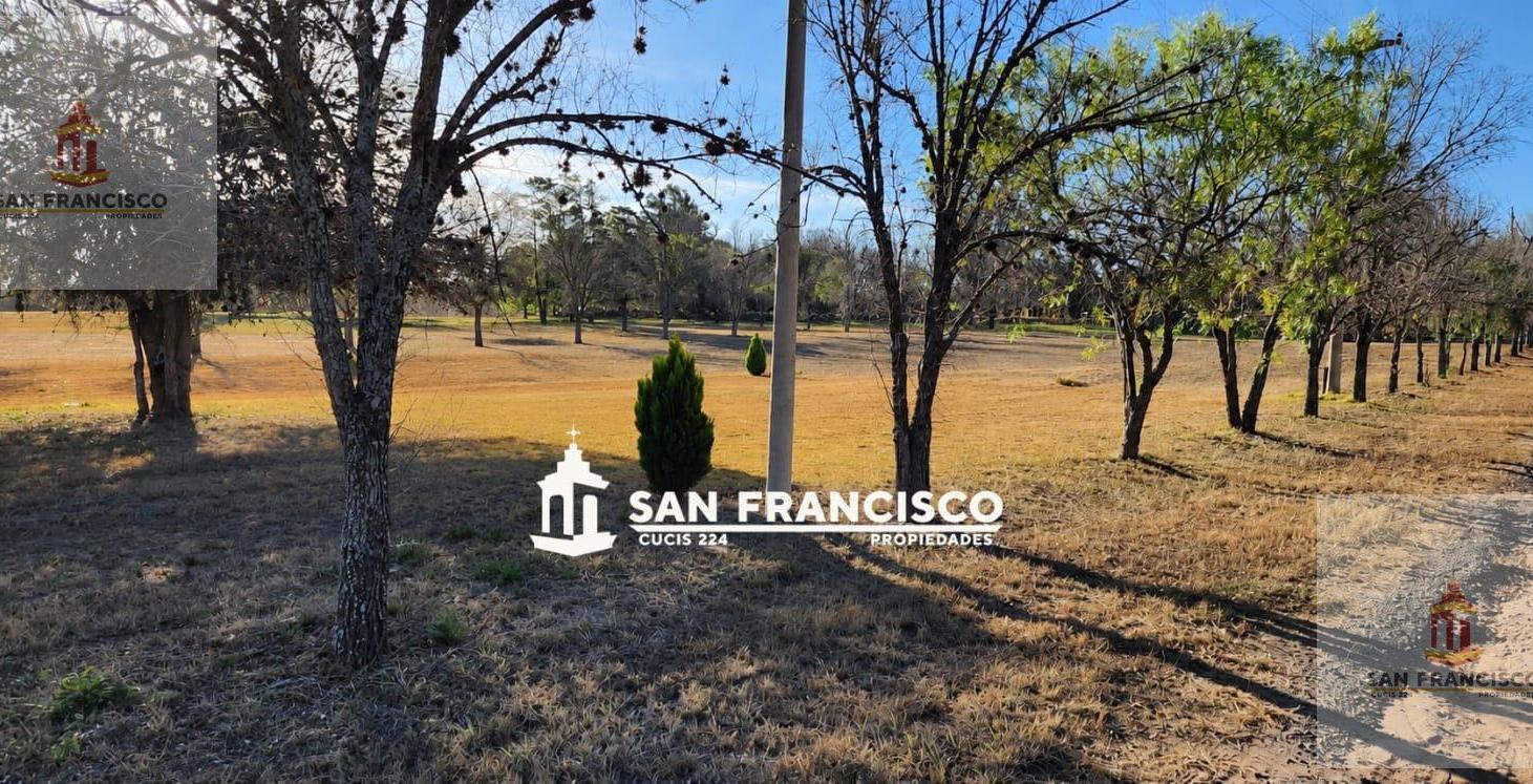 Foto de Terreno en Venta | La Maroma, Dique Cabra Corral, imagen 5