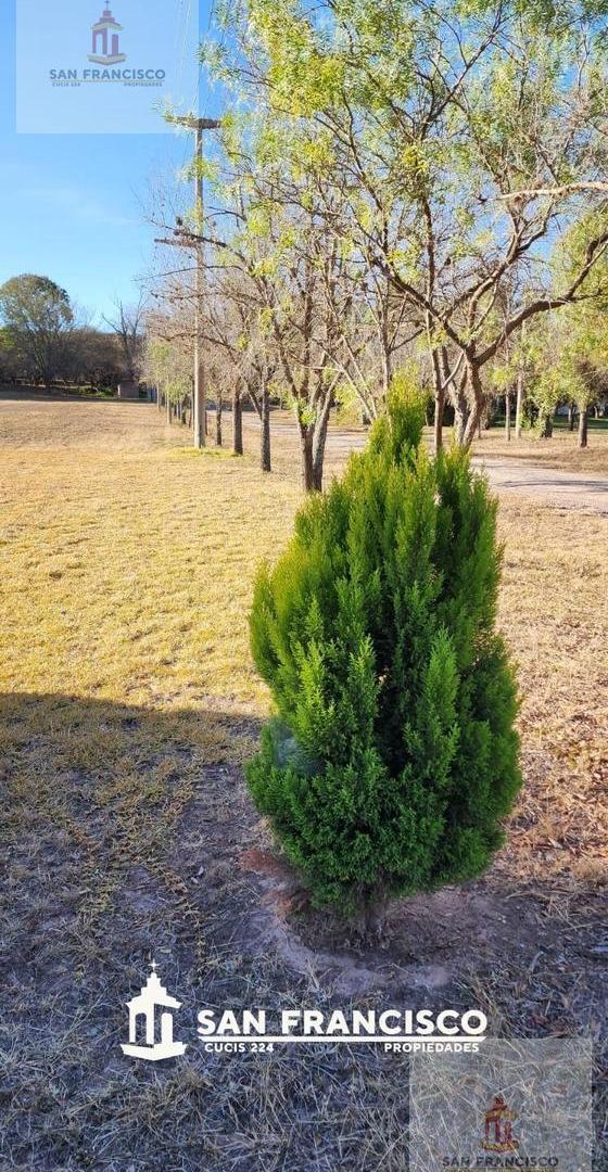 Foto de Terreno en Venta | La Maroma, Dique Cabra Corral, imagen 4