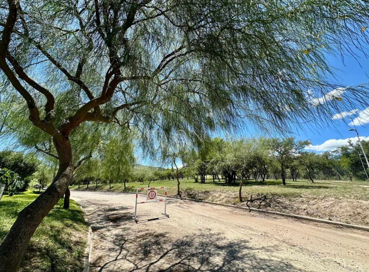 Foto de LOTE TEJAS CUATRO - ETAPA 1 (PLAN CANCELADO), imagen 5