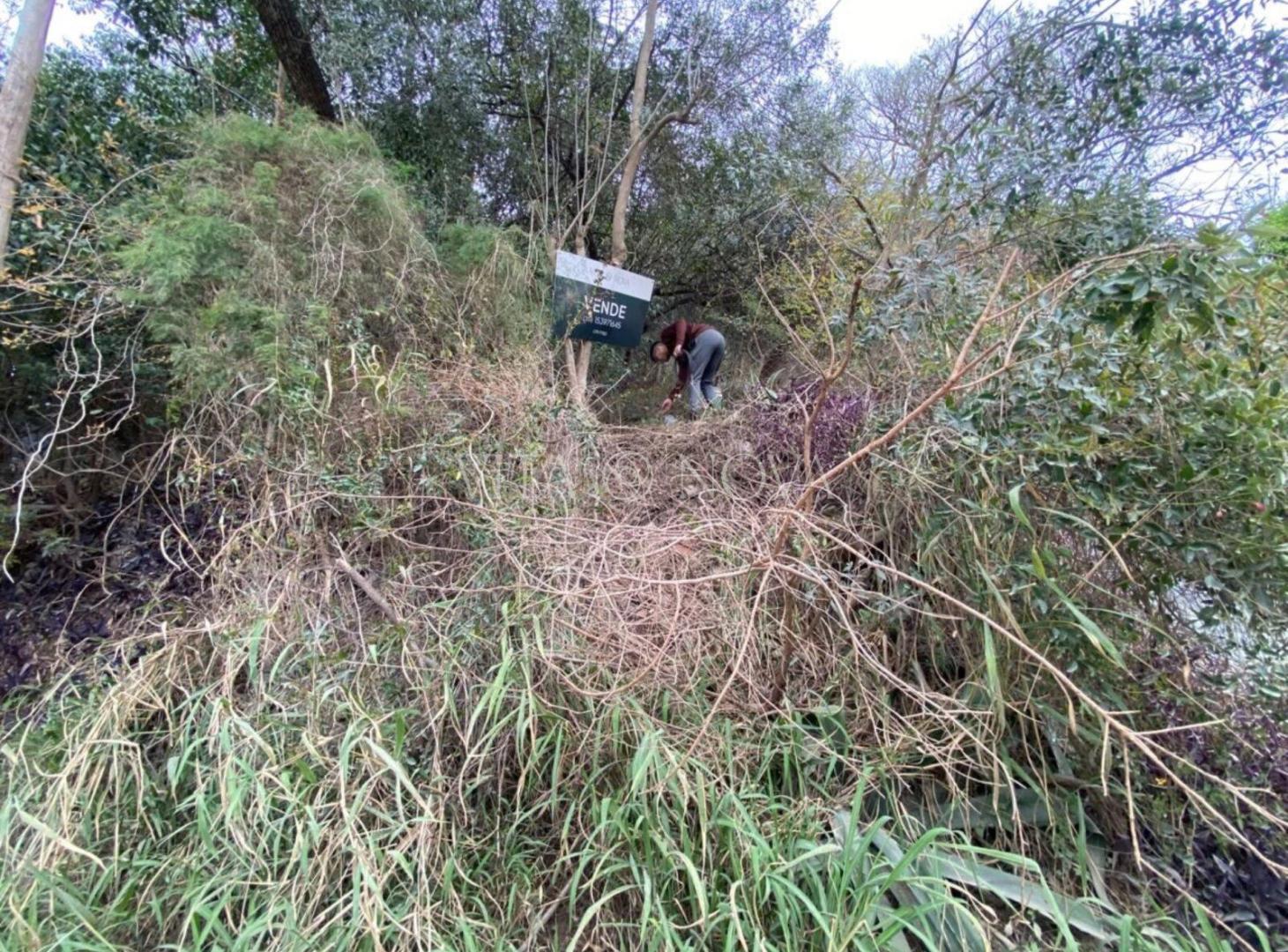 Foto de VENTA LOTE - B° ÑU PORÁ, imagen 5