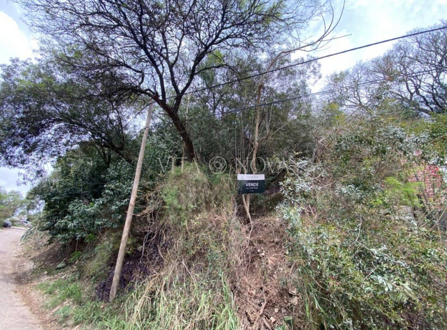 Foto de VENTA LOTE - B° ÑU PORÁ, imagen 4