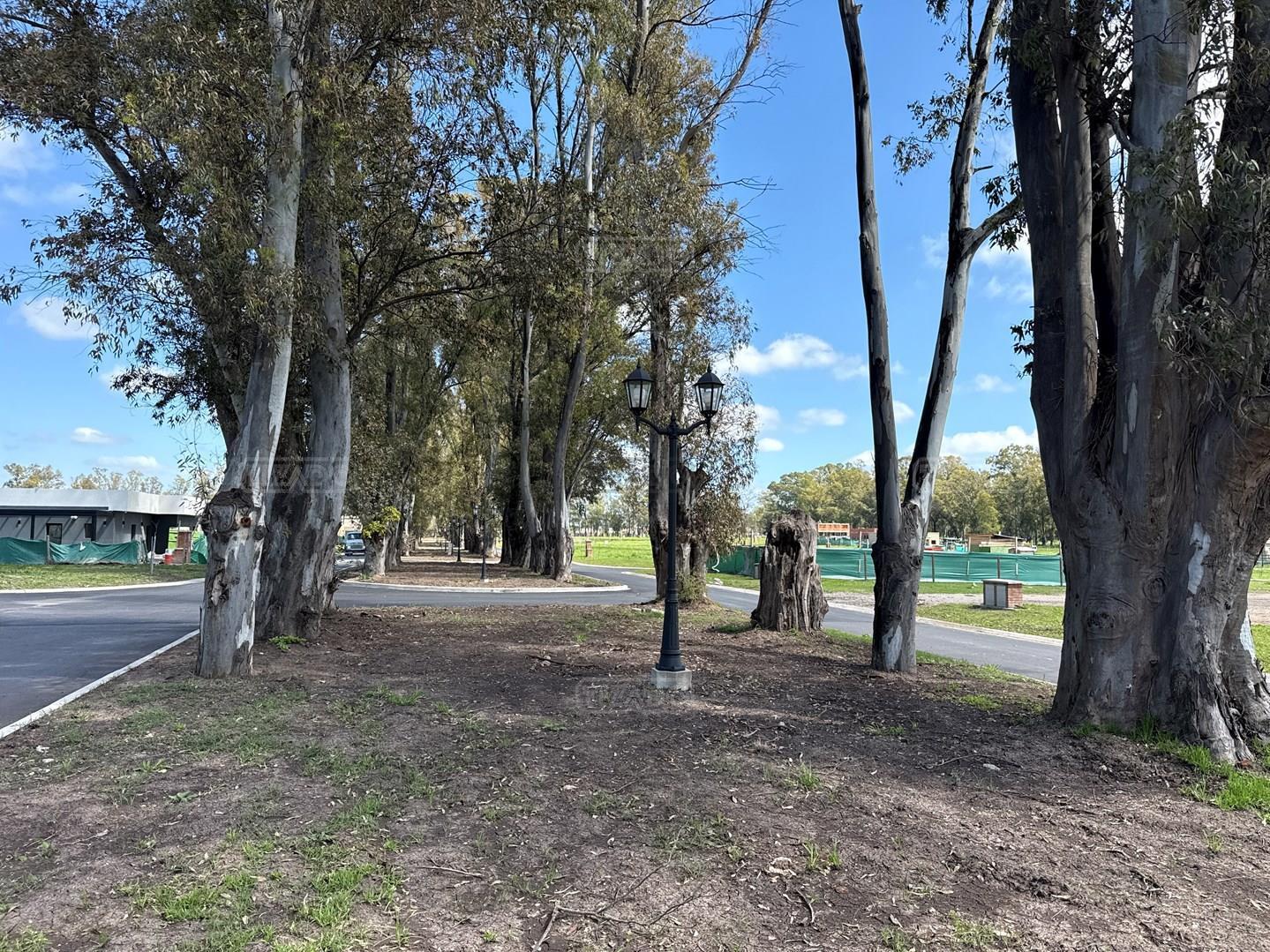 Foto de Santa Sofía Pilar del Este | Lote, deportes y verde, imagen 1