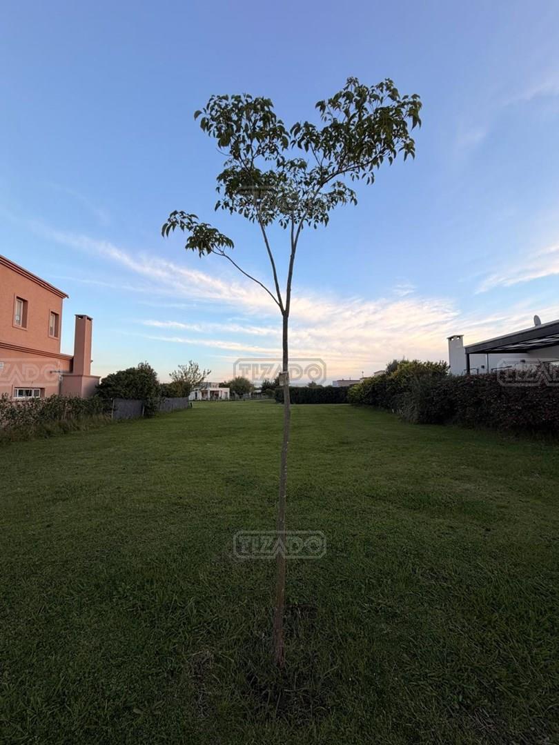Foto de Terreno Lote en Venta en San Ramiro, Pilar del Este, Pilar, imagen 1