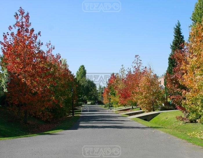 Foto de Terreno Lote en Venta ubicado en San Ramón, Pilar del Este, imagen 3