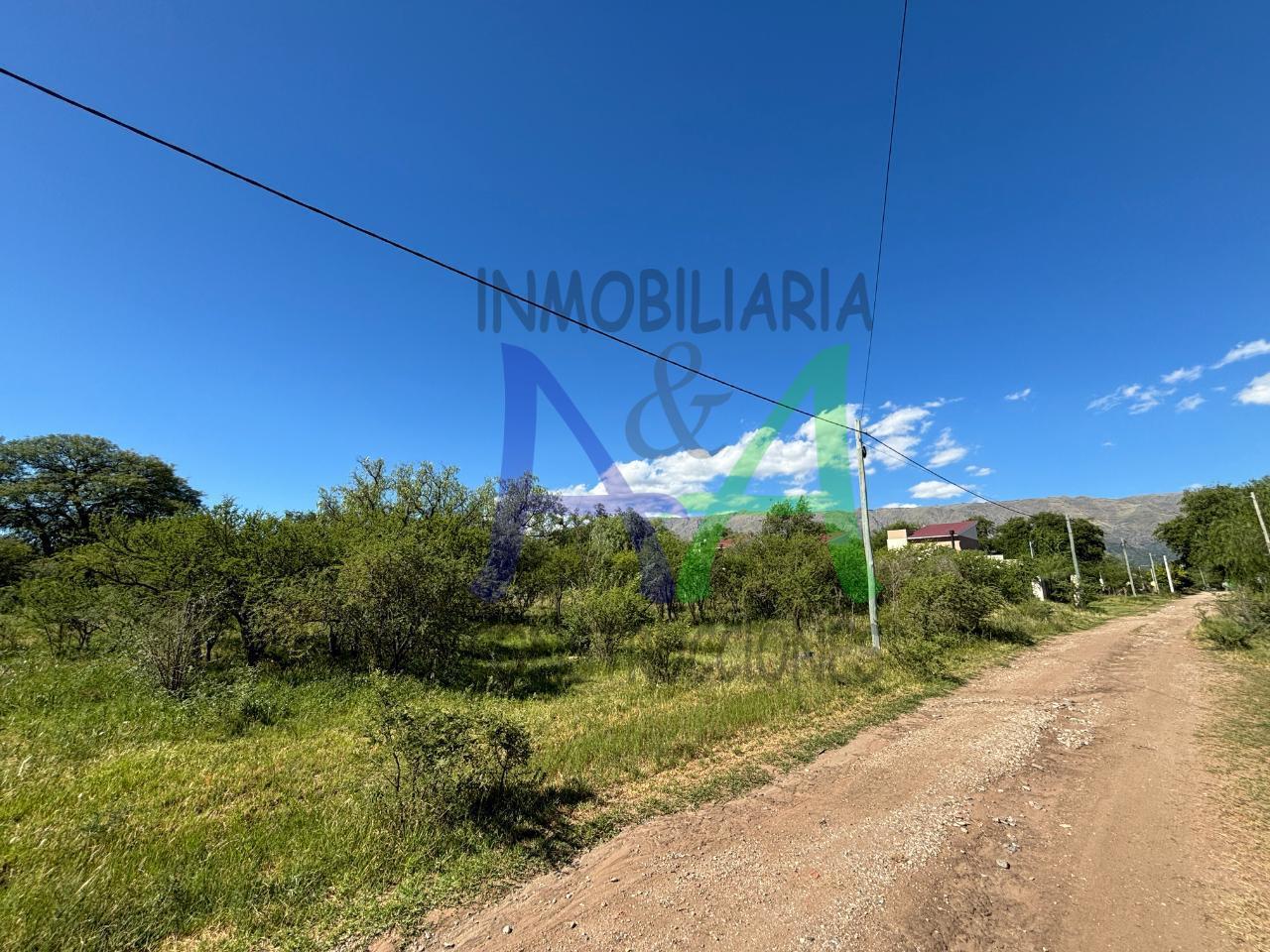 Foto de TERRENO EN VENTA, LAS MAGDALENAS, MERLO, SAN LUIS, imagen 3