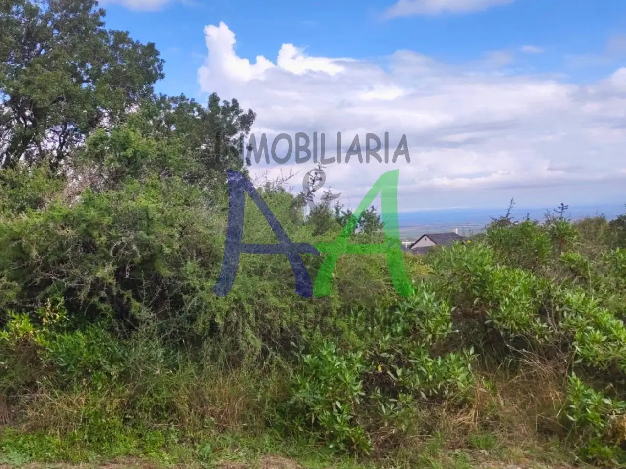 Terreno en venta Las Cascadas, Carpintería 4