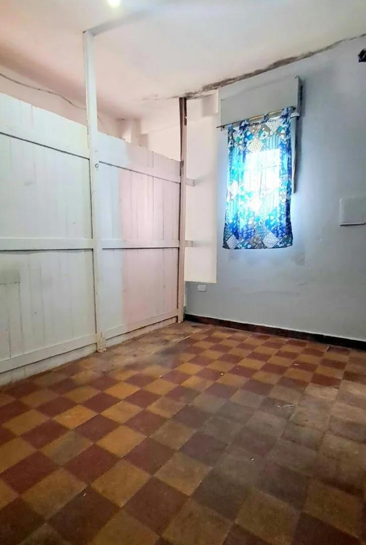 Foto de MONO DIVIDIDO, imagen 5