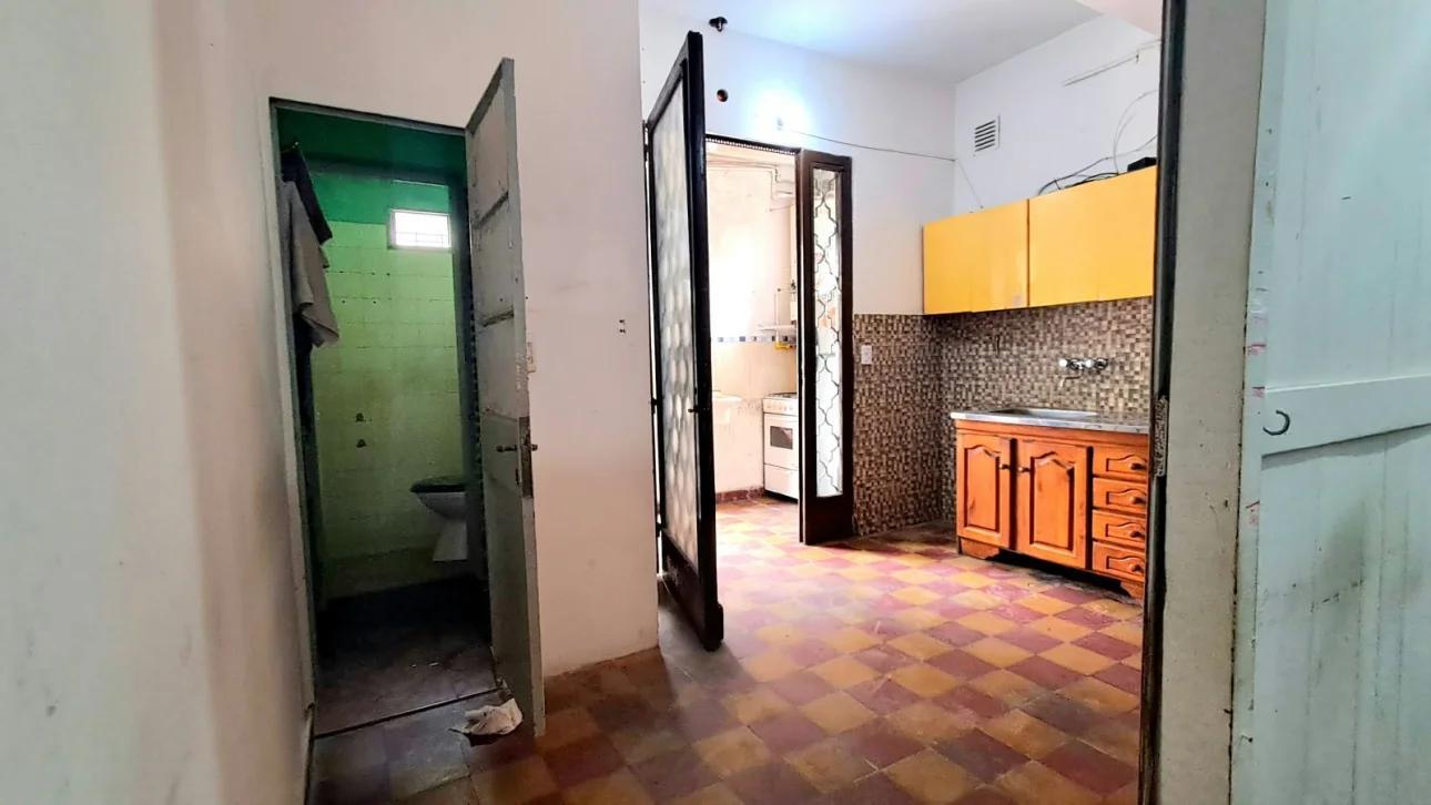 Foto de MONO DIVIDIDO, imagen 1