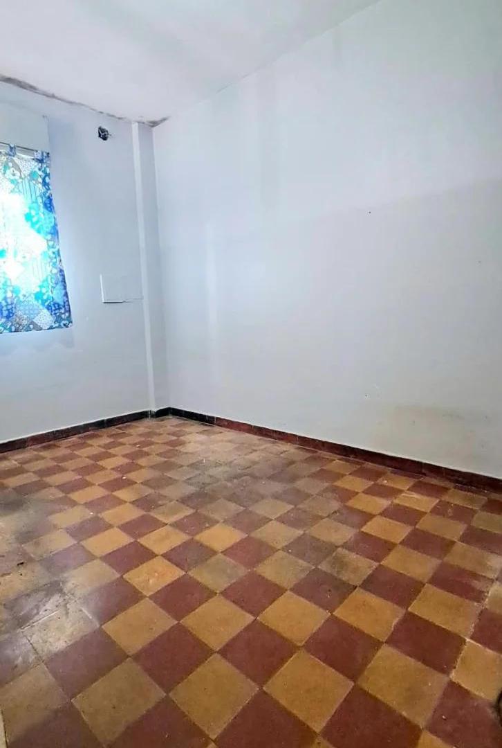 Foto de MONO DIVIDIDO, imagen 4
