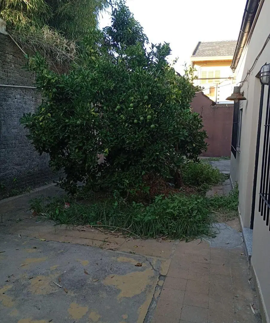 DTO. INTERNO CON AMPLIO ESPACIO EXTERIOR 3