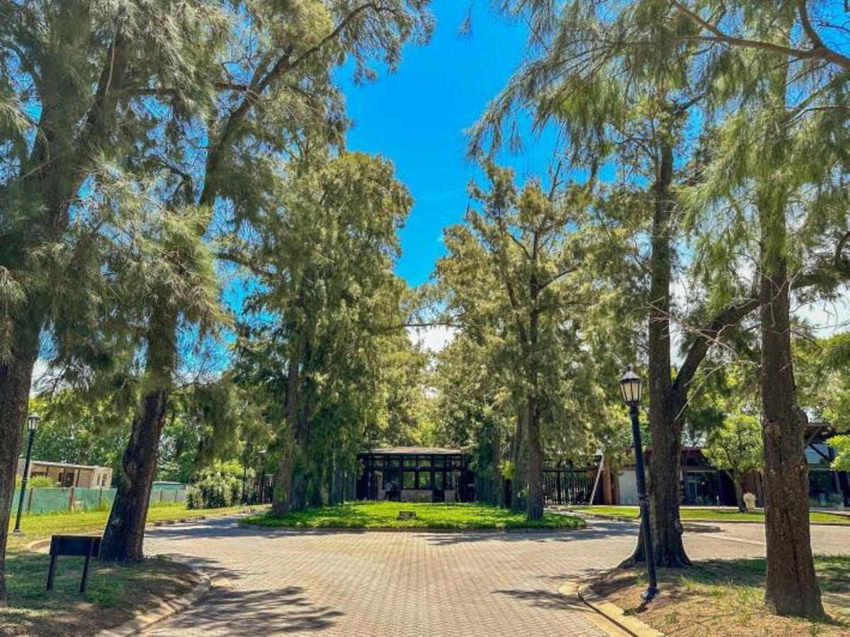 Venta Lote 1094 m2 en Azahares del Paraná, Barrio de las Raíces