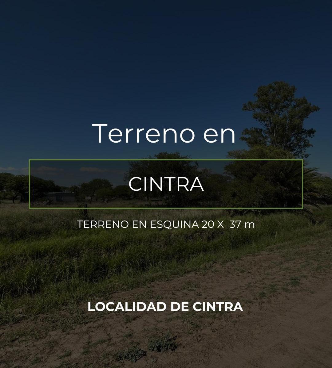 Foto de SE VENDEN TERRENOS EN LA LOCALIDAD DE CINTRA, imagen 3