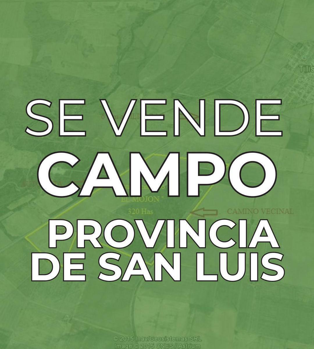 Foto de SE VENDE CAMPO - PROVINCIA DE SAN LUIS, imagen 4