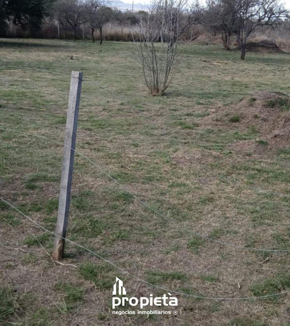 Foto de VENTA DE TERRENO EN AMBOY, imagen 3