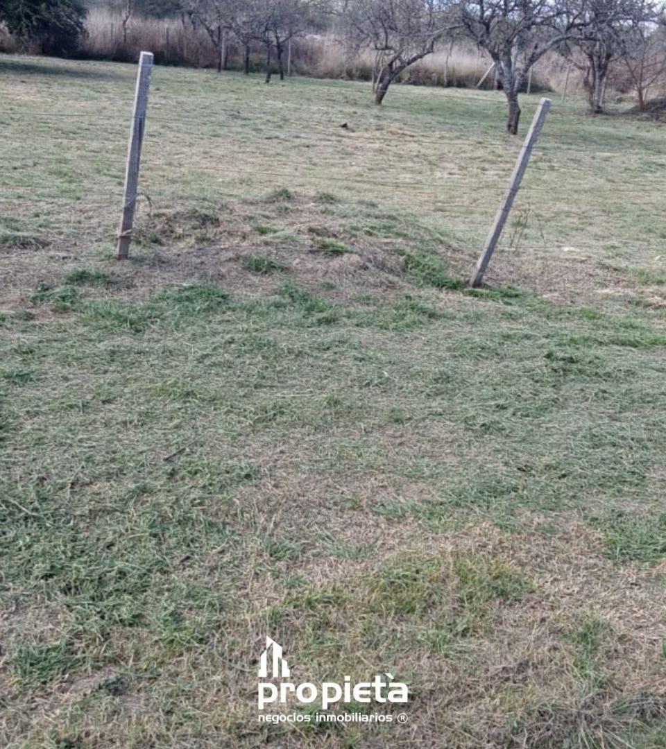 Foto de VENTA DE TERRENO EN AMBOY, imagen 1