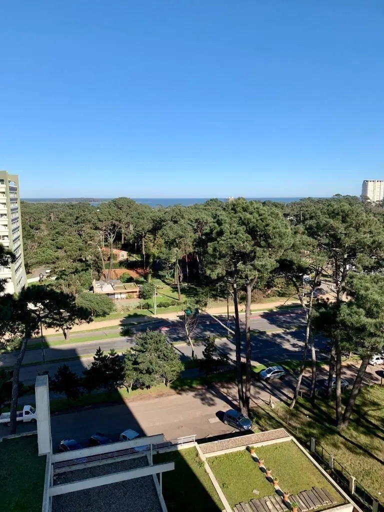 Alquiler Apartamento 2 dormitorios, Piso 10, Gym, Piscina, COCHERA FIJA 2