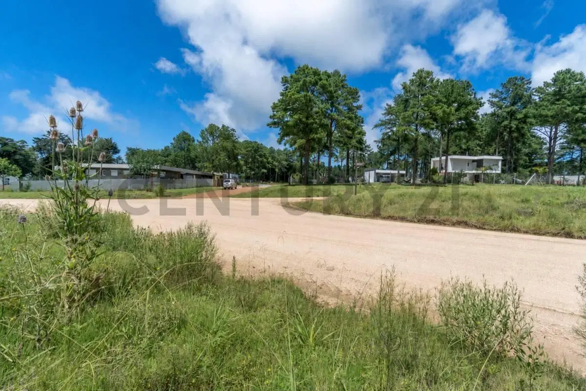 venta de terreno en Chacras del Pinar, Punta Ballena 3