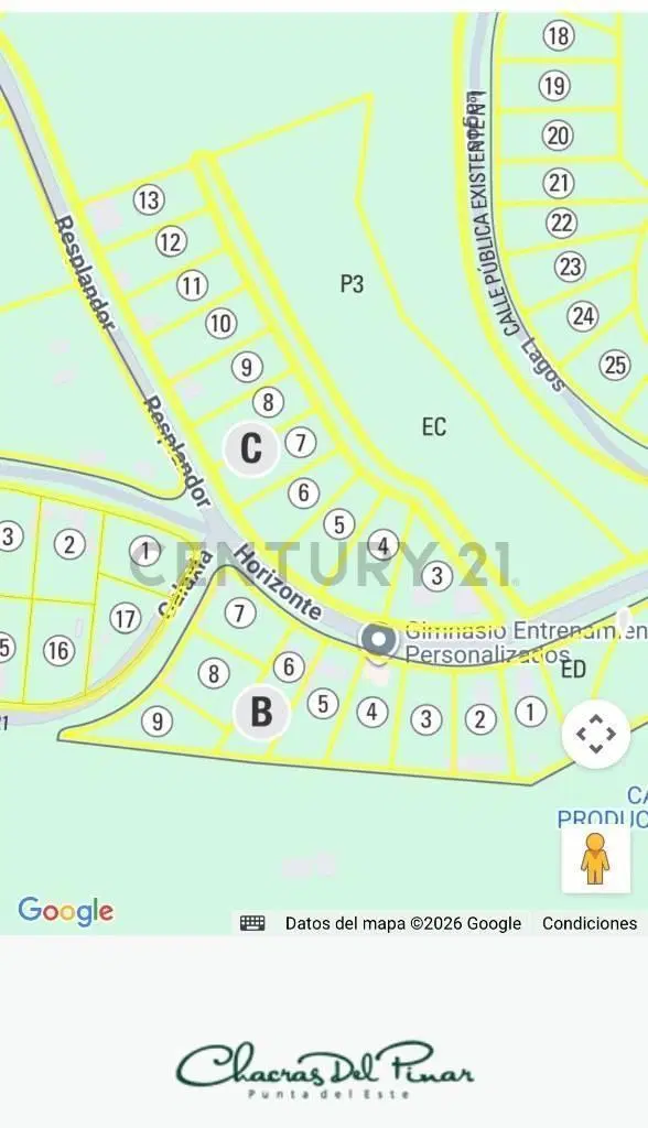 Plano 1