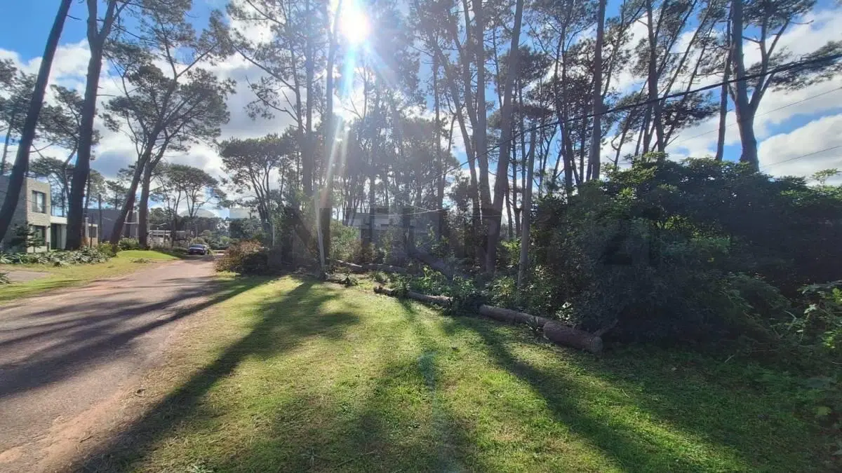Venta Terreno Punta Ballena a 200Mts del Mar  zona en expansión USD 138.900 2