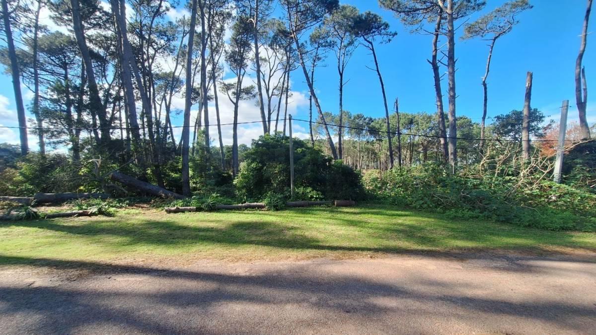 Venta Terreno Punta Ballena a 200Mts del Mar zona en expansión USD 138.900