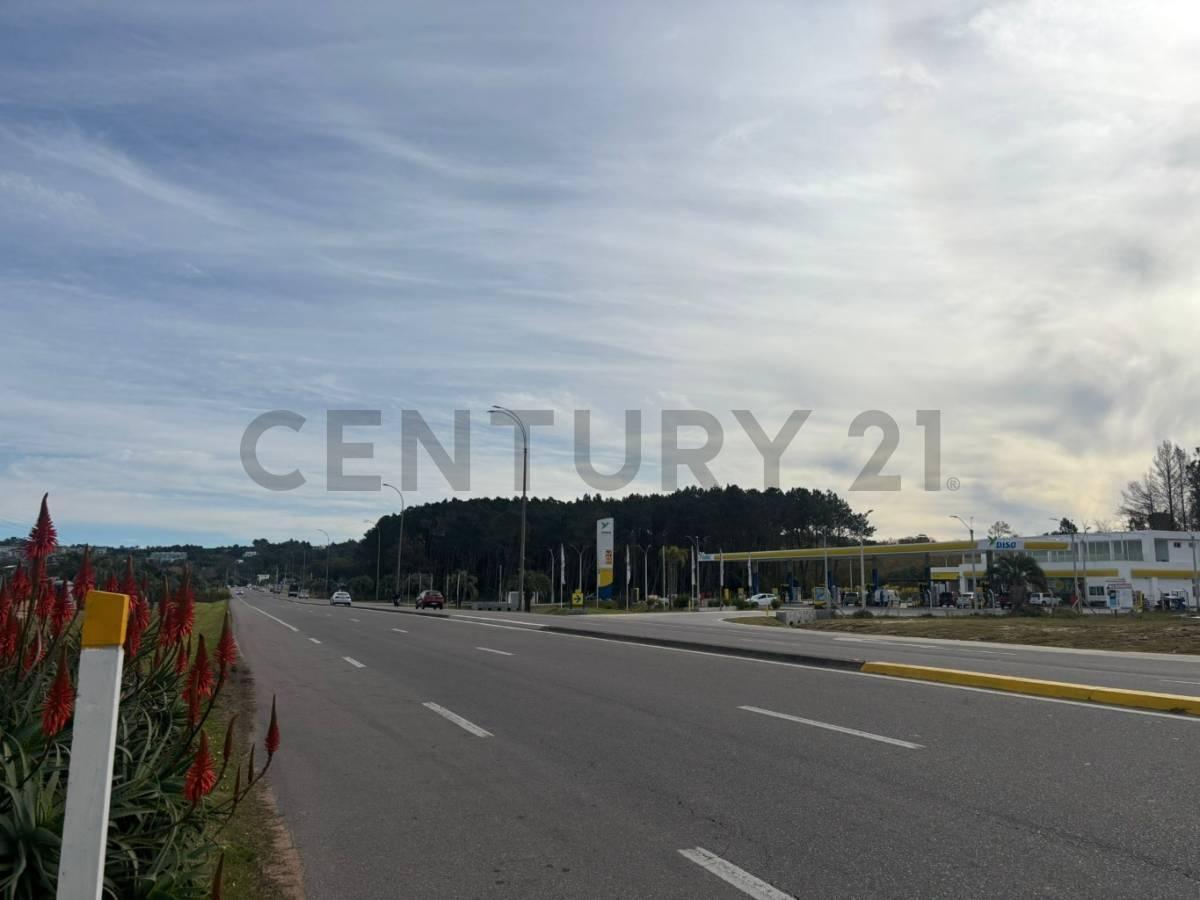 Foto de Punta Ballena Lote 8.025 m² sobre ruta habilitacion 5 pisos US$ 1.390.000, imagen 3