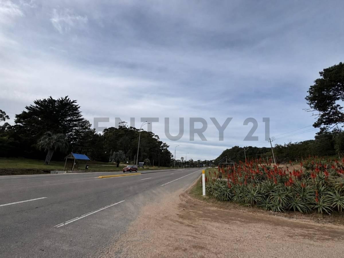 Foto de Punta Ballena Lote 8.025 m² sobre ruta habilitacion 5 pisos US$ 1.390.000, imagen 5
