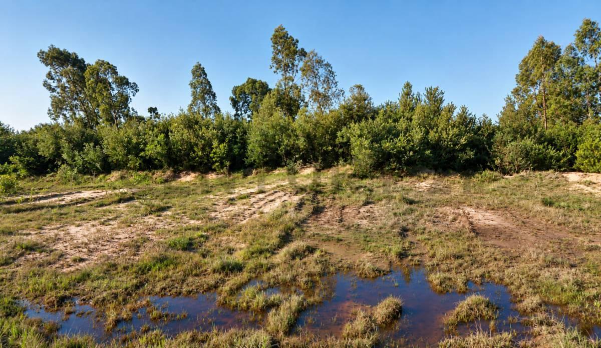 Foto de Oportunidad PUNTA DEL DIABLO, Gran terreno de 8300m2 con mejoras, 16, imagen 4