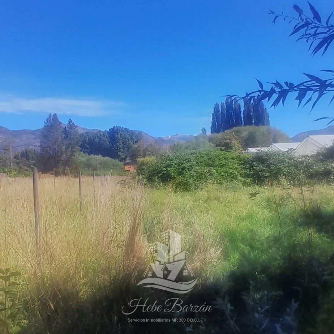 Terreno en El Hoyo 4