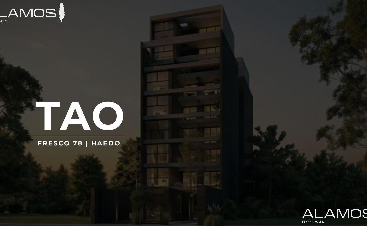 Foto de TAO, imagen 1