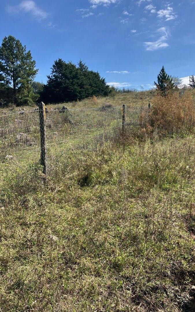 Foto de TERRENO POTRERO DE GARAY EN VENTA, imagen 5