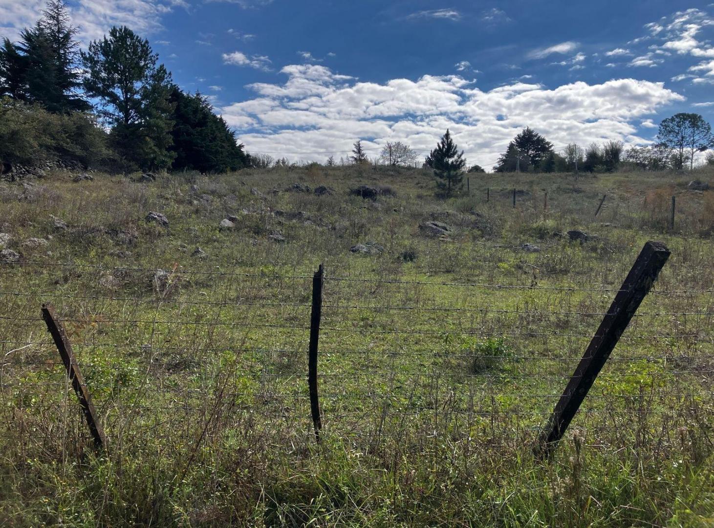 Foto de TERRENO POTRERO DE GARAY EN VENTA, imagen 1