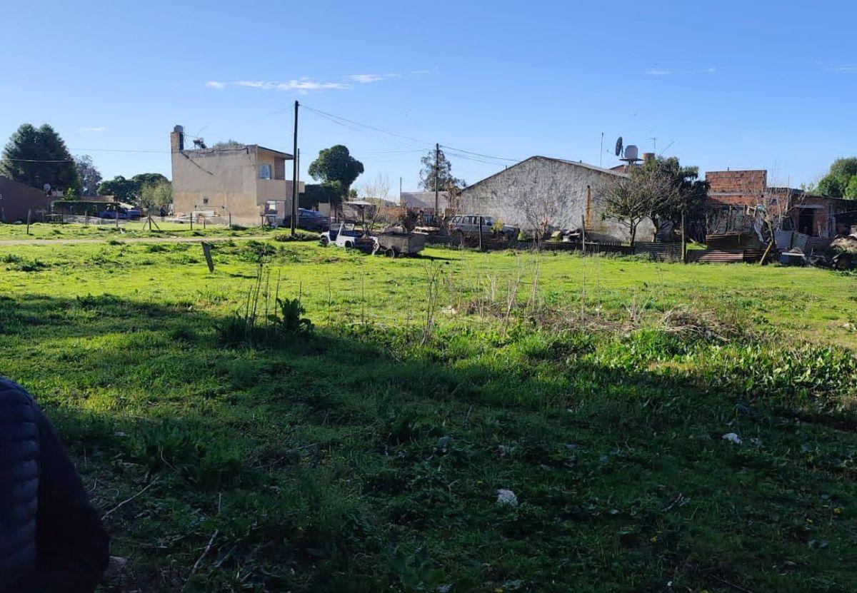 Foto de SE VENDEN 2 LOTES CONTIGUOS 567 METROS TOTALES MIRAMAR, imagen 2